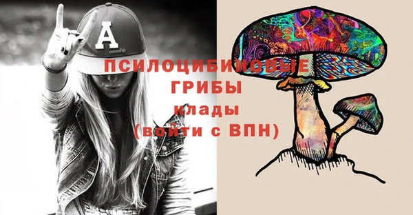 дмт Нефтегорск